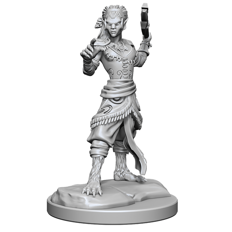 Shifter Fighter (Male/Female)