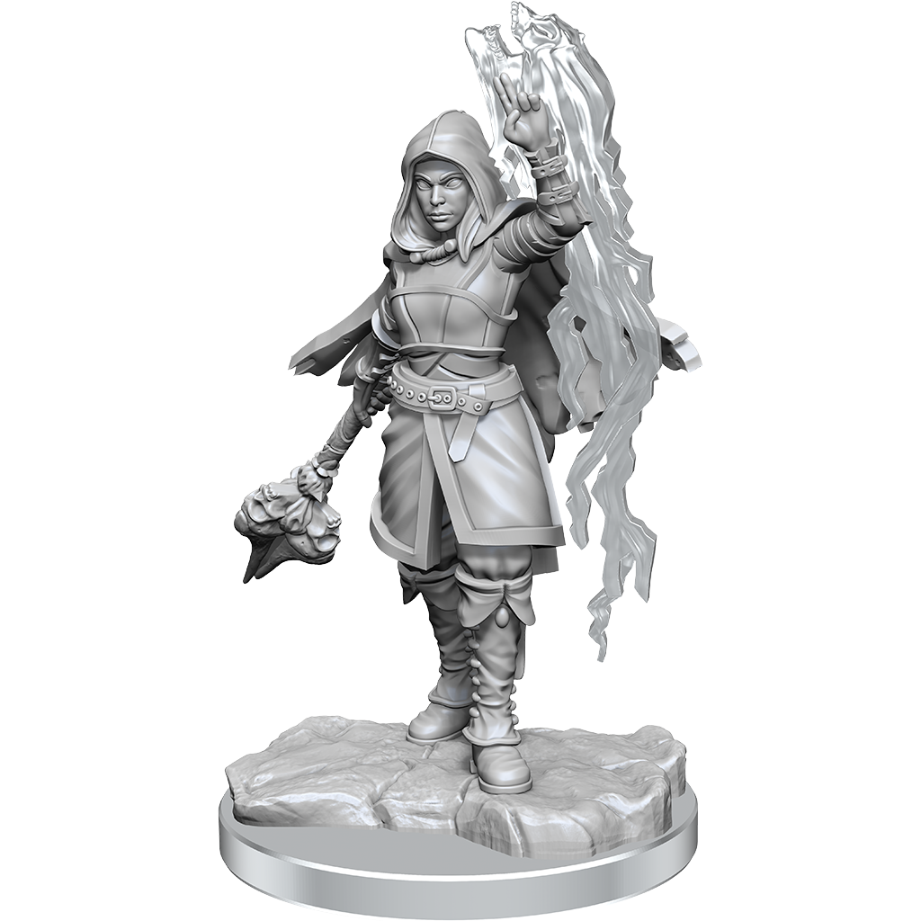 Half-Elf Warlock(Wotc)