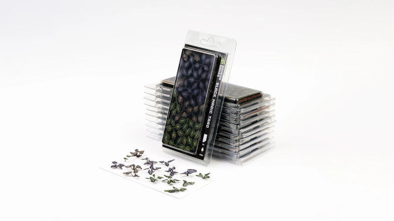 Laser Plants -  Black Magic Taro
