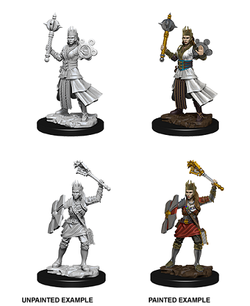 Human Cleric(Wizkids)Male/Female