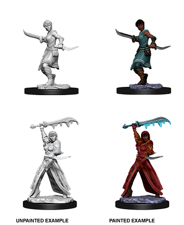 Human Rogue(Wizkids)Male/Female