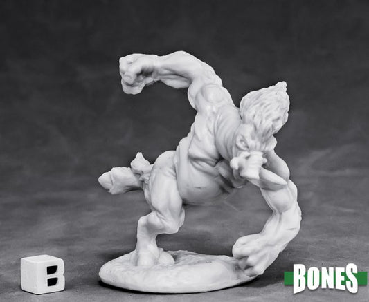 Bones: Wereboar