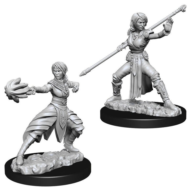 WizKids Nolzur's Marvelous Miniatures: Unpainted Miniatures: Female Half-Elf Monk