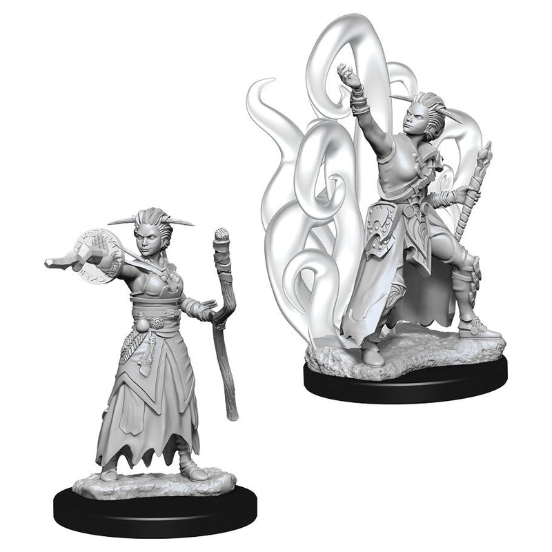 WizKids Nolzur's Marvelous Miniatures: Unpainted Miniatures: Female Human Warlock