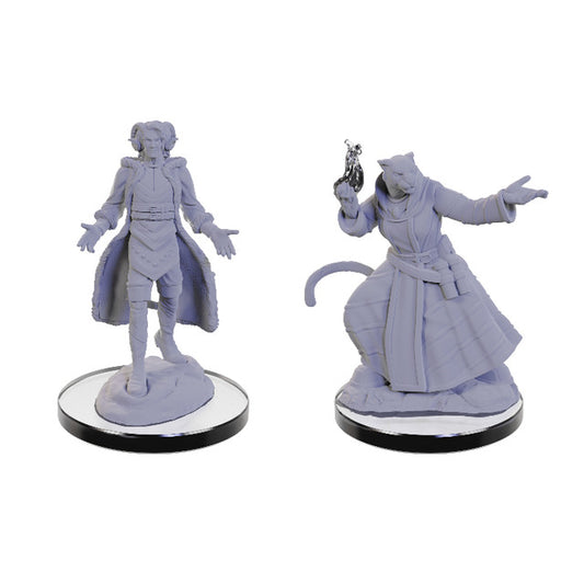 Critical Role: Lucien Tavelle & Cree Deeproots