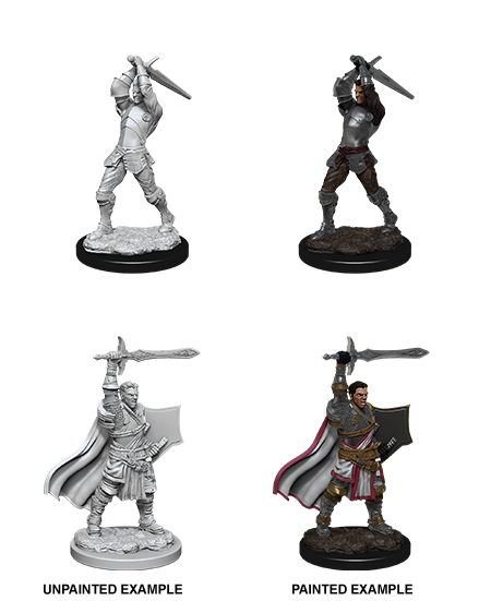 WizKids Nolzur's Marvelous Miniatures: Unpainted Miniatures: Male Human Paladin