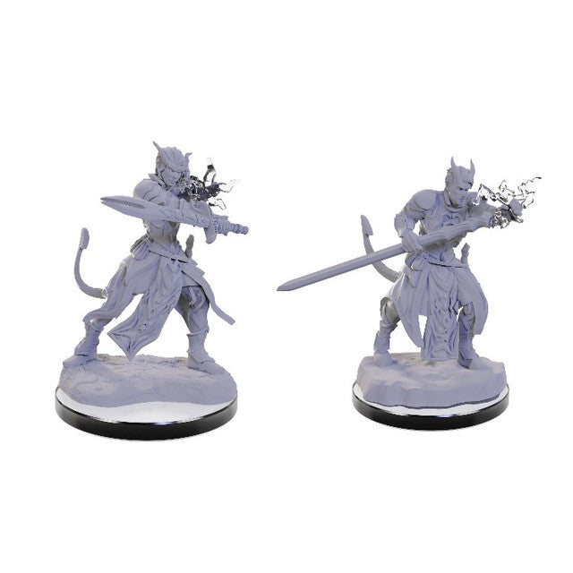 Dungeons & Dragons: Nolzur's Marvelous Miniatures: Wave 22 - Tiefling Warlocks