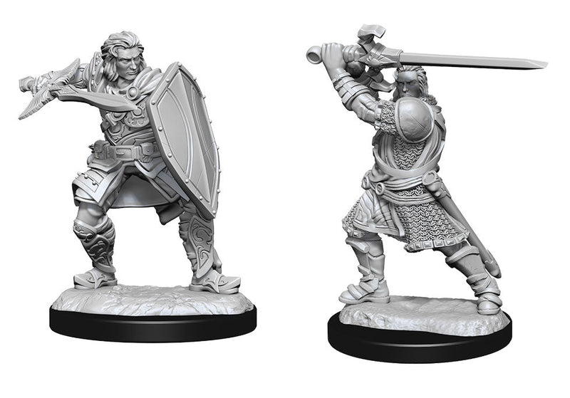 WizKids Nolzur's Marvelous Miniatures: Unpainted Miniatures: Human Paladin Male