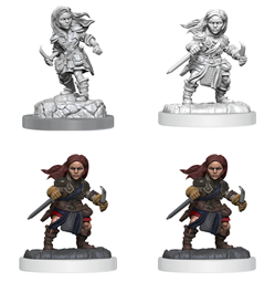 Halfling Rogue(Male/Female)