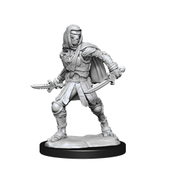 Dungeons & Dragons Nolzur`s Marvelous Unpainted Miniatures: Warforged Rogue