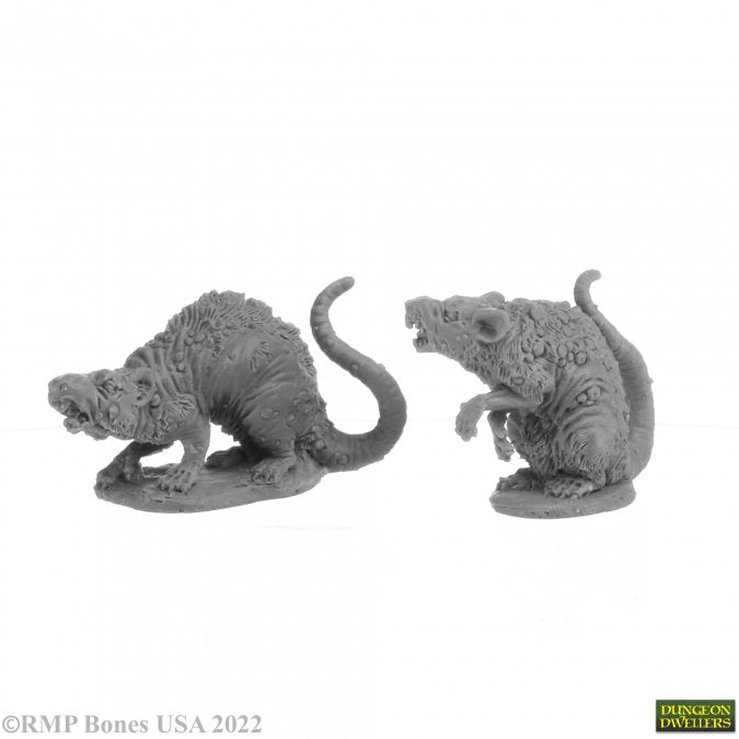 Giant Tomb Rats