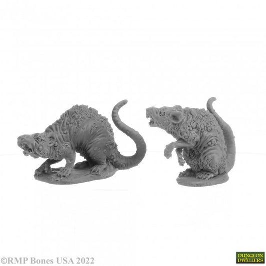 Giant Tomb Rats