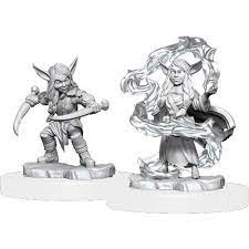Wizkids Critical Roll Goblin Sorcerer and Rogue