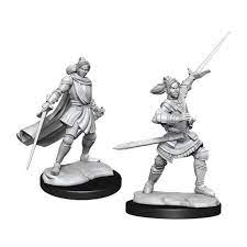 Wizkids Critical Roll Half Elf Zhorhas Paladin