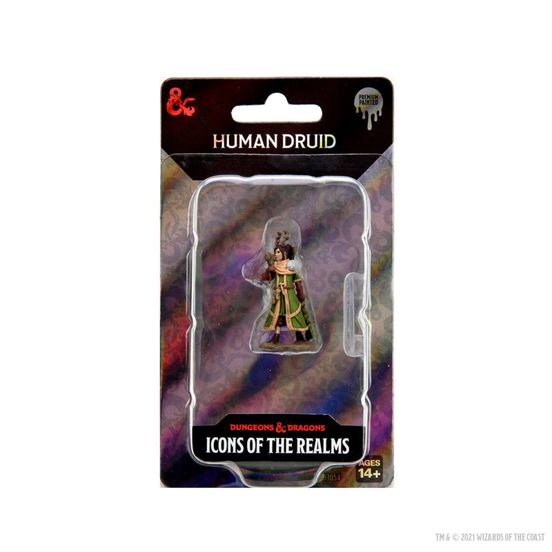 Dungeons & Dragons Icons of the Realms Premium Figures Female Human Druid