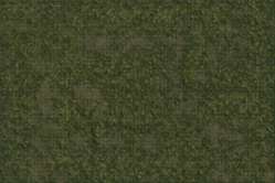 D&D 5E Icons of the Realms Grassland Battlemat Gridded 5'x3'