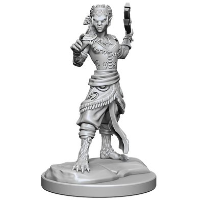 Shifter Fighter (Male/Female)