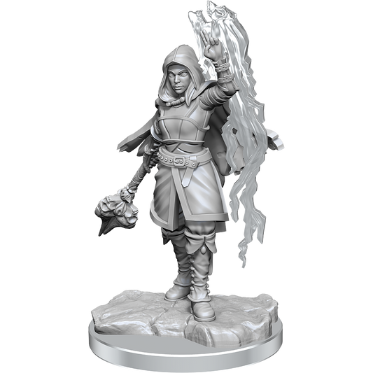 Half-Elf Warlock(Wotc)